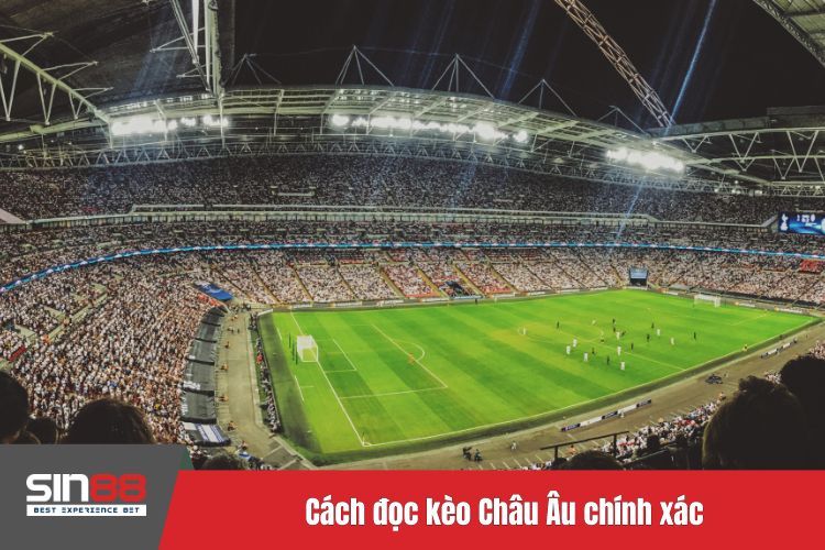 Cách đọc kèo Châu Âu chính xác