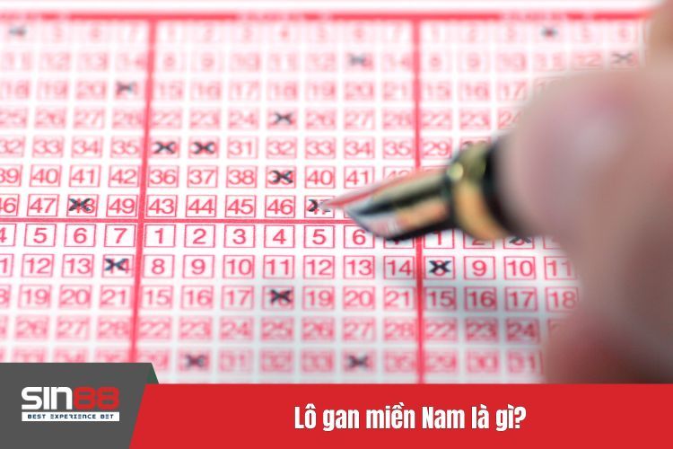 Lô gan miền Nam là gì?