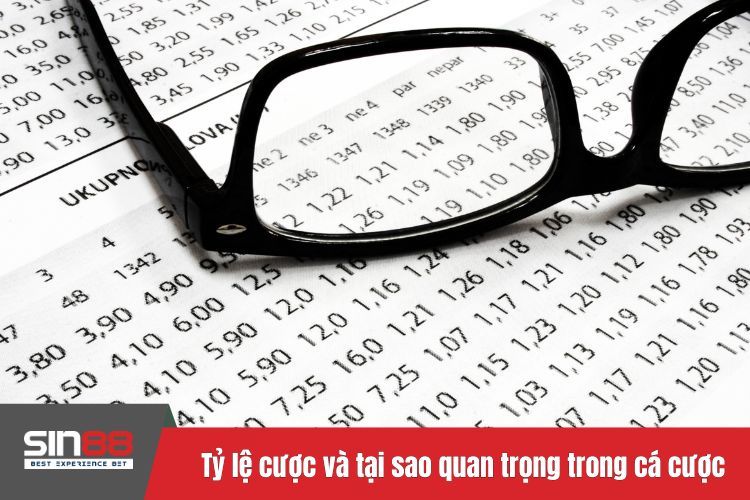 Tỷ lệ cược là gì và tại sao quan trọng trong cá cược bóng đá?