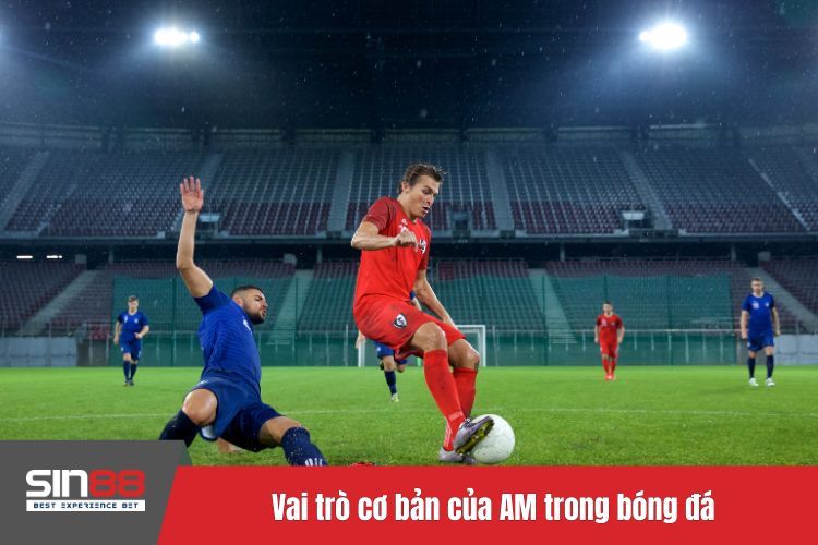 Vai trò cơ bản của AM trong bóng đá